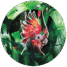 7559-who-s-a-pretty-bird-pocket-mirror-14365262980.png