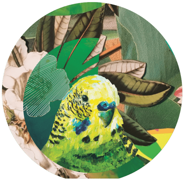 7559-who-s-a-pretty-bird-pocket-mirror-14365297156.png