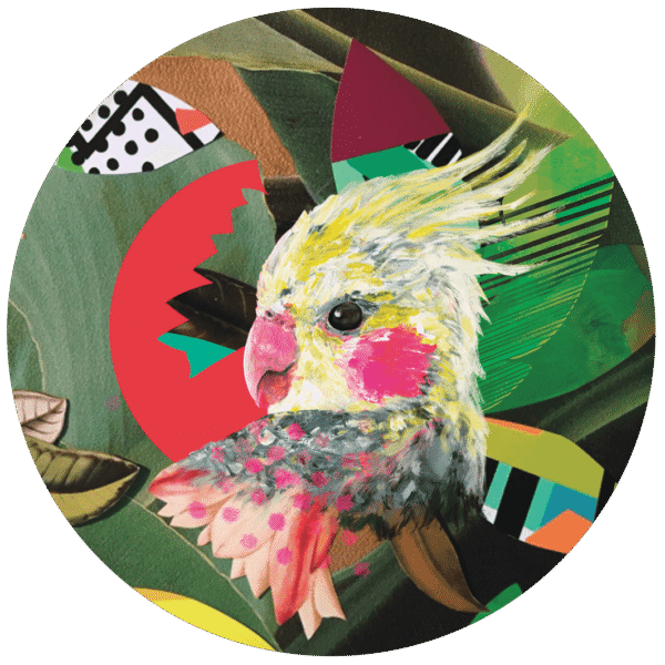 7559-who-s-a-pretty-bird-pocket-mirror-14365303172.png