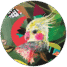 7559-who-s-a-pretty-bird-pocket-mirror-14365303172.png
