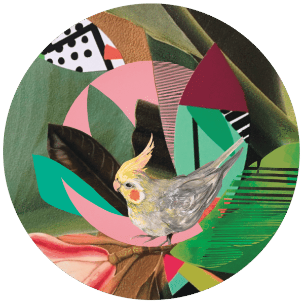 7559-who-s-a-pretty-bird-pocket-mirror-14365310084.png