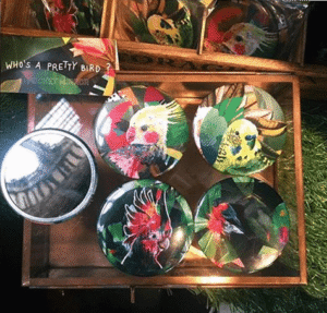 Who's A Pretty Bird Pocket Mirror