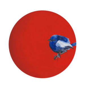 Fairy Wren Giclée Art Print
