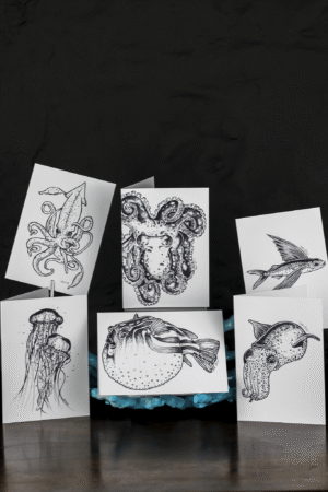 Sea Creatures Greeting Card Set