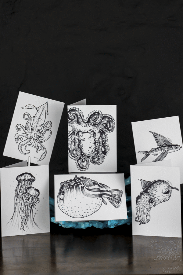 8010-sea-creatures-greeting-card-set-5060583435939-19847881031836.png