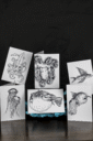 8010-sea-creatures-greeting-card-set-5060583435939-19847881031836.png