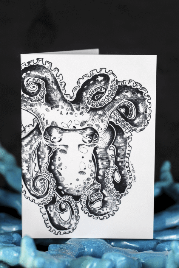 8010-sea-creatures-greeting-card-set-5060583435939-19847881064604.png