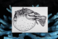 8010-sea-creatures-greeting-card-set-5060583435939-19847881097372.png