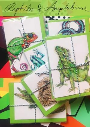 Reptiles & Amphibians Greeting Card Set