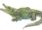 8011-reptiles-amphibians-greeting-card-set-5060583435915-19847934378140-2.jpg