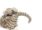 8011-reptiles-amphibians-greeting-card-set-5060583435915-19847934443676-2.jpg