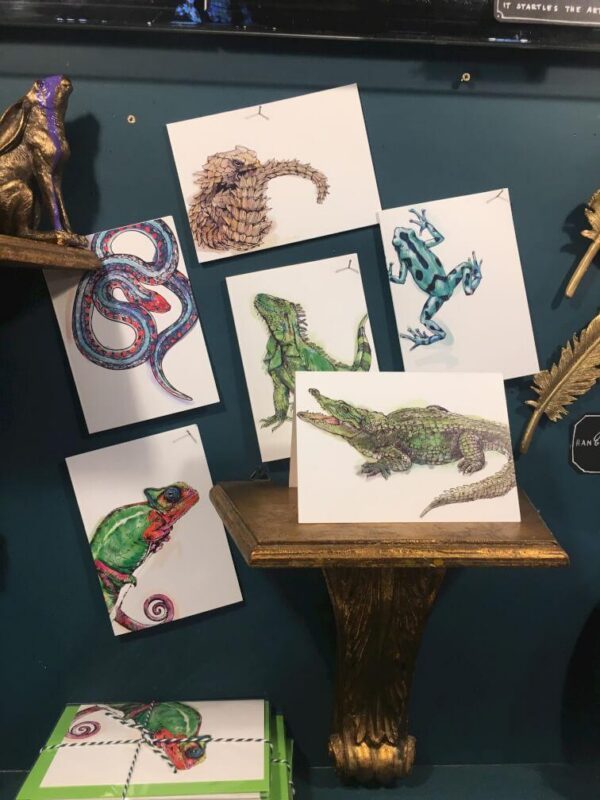 8011-reptiles-amphibians-greeting-card-set-5060583435915-19847937392796-2.jpg