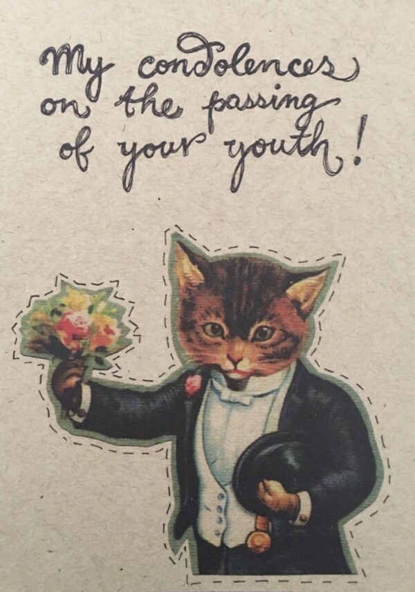 8020-condolences-kitty-greeting-card-5060583436066-21531341585-2.jpg