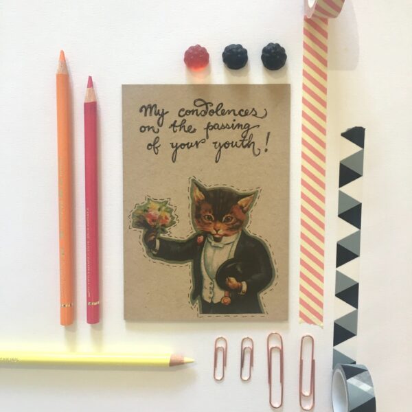 8020-condolences-kitty-greeting-card-5060583436066-21680862658716-2.jpg