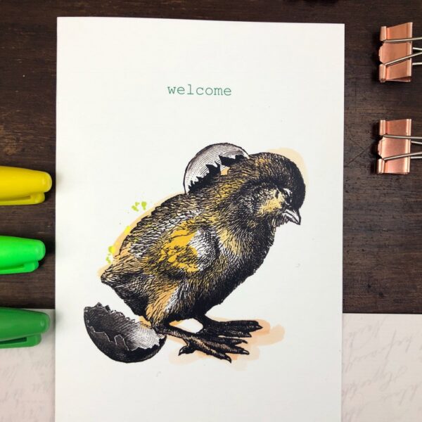 8034-welcome-chick-greeting-card-5060583436349-21680786538652-2.jpg