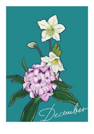December Birthday Bloom Greeting Card