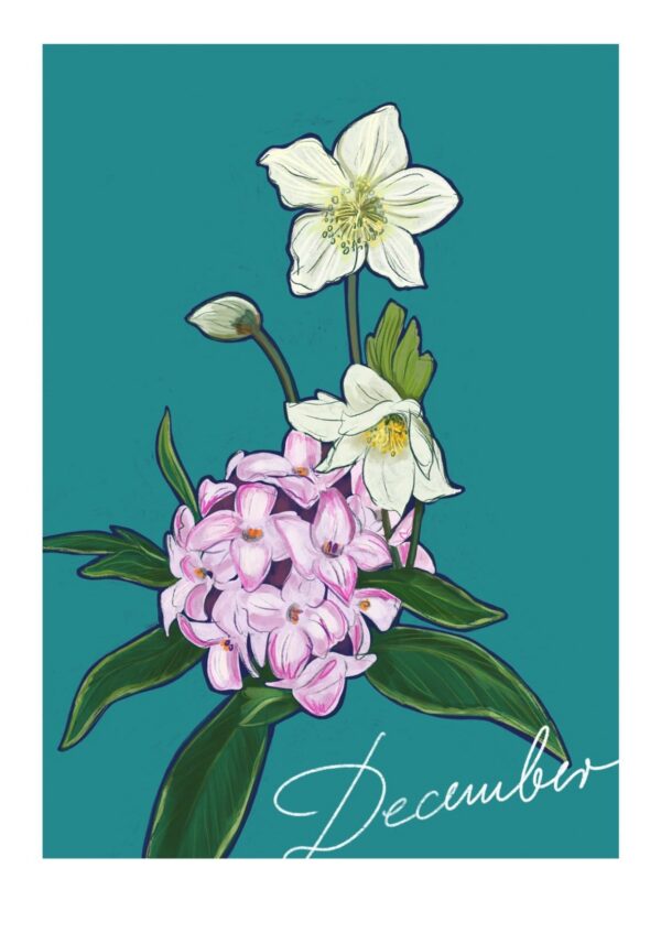 8111-december-birthday-bloom-greeting-card-5056472995127-30394937409692-2.jpg