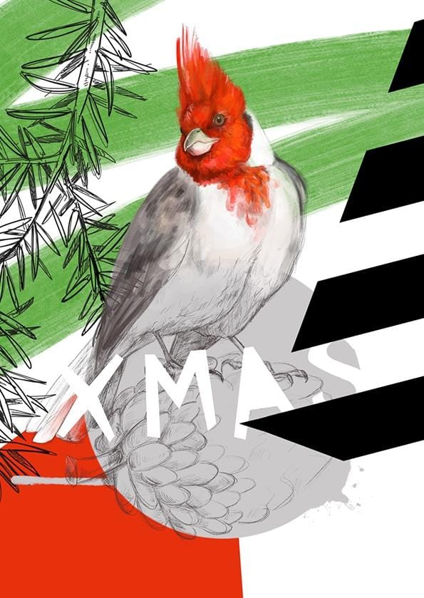 8170-red-crested-cardinal-xmas-greeting-card-5060583438213-5575247102048-2.jpg 8170-red-crested-cardinal-xmas-greeting-card-5060583438213-5575247102048-2.jpg