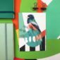 8171-blue-crowned-trogon-boom-greeting-card-5060583437759-21673378414748-2.jpg