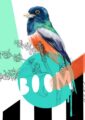 8171-blue-crowned-trogon-boom-greeting-card-5060583437759-5575248543840-2.jpg