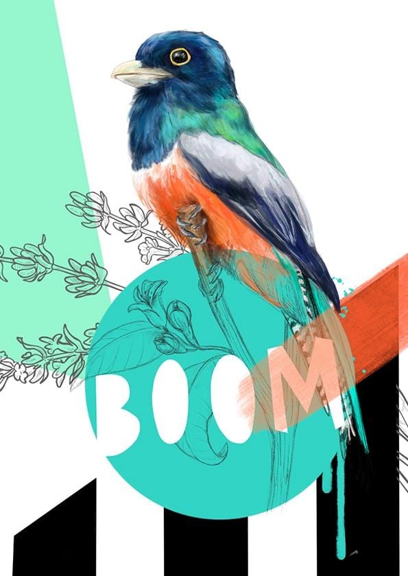 8171-blue-crowned-trogon-boom-greeting-card-5060583437759-5575248543840-2.jpg 8171-blue-crowned-trogon-boom-greeting-card-5060583437759-5575248543840-2.jpg