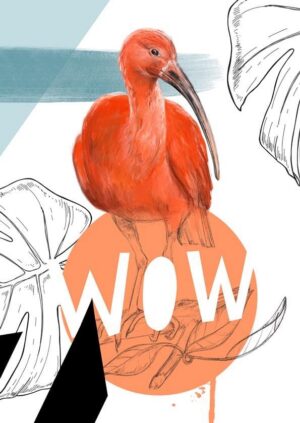 Scarlet Ibis - Wow Greeting Card