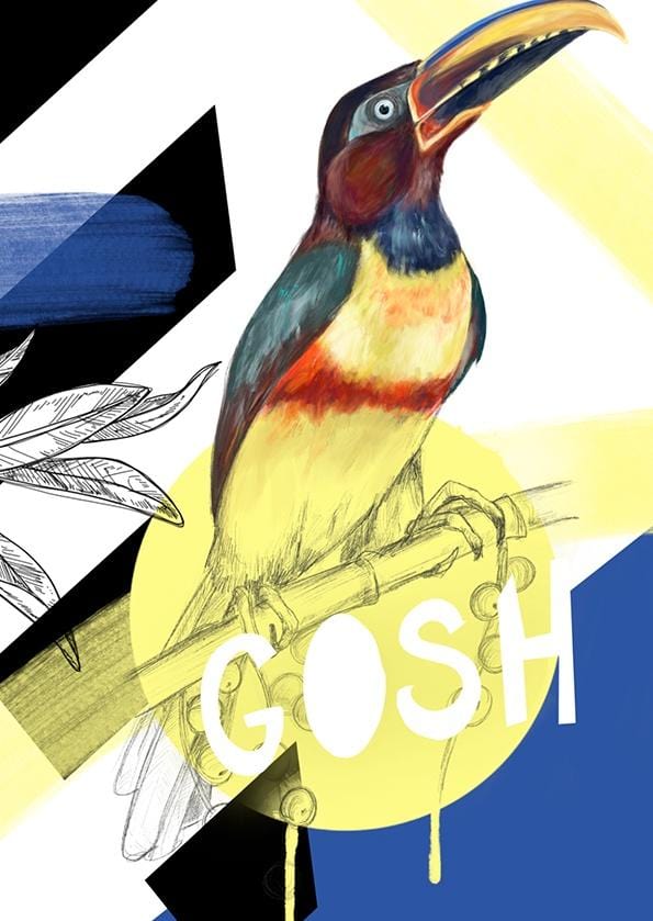 8174-chestnut-eared-aracari-gosh-greeting-card-5060583437872-5575250018400-2.jpg 8174-chestnut-eared-aracari-gosh-greeting-card-5060583437872-5575250018400-2.jpg