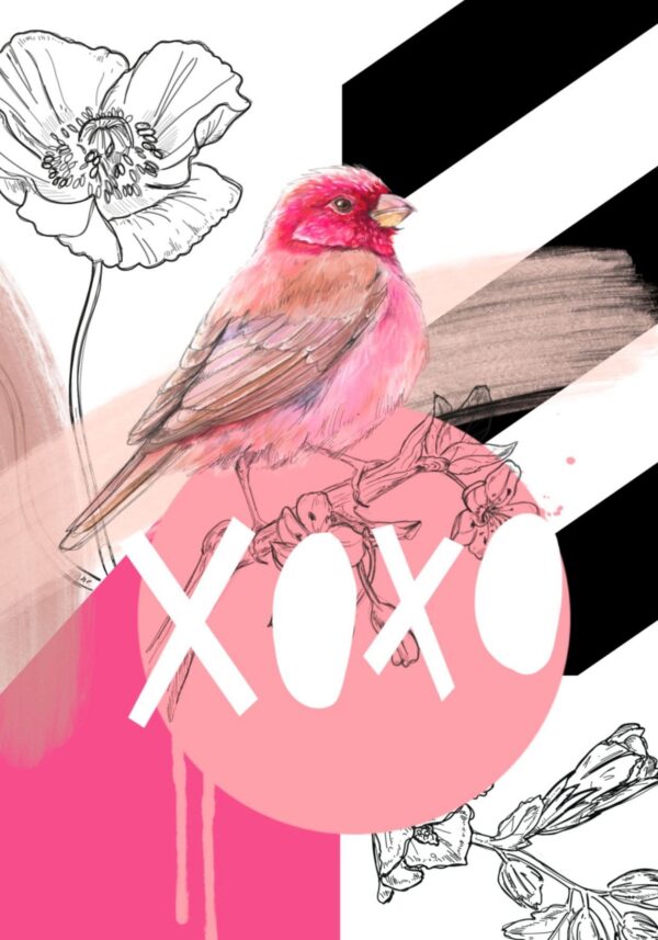 8176-rose-finch-xoxo-greeting-card-5060583439234-15074808660064-2.jpg