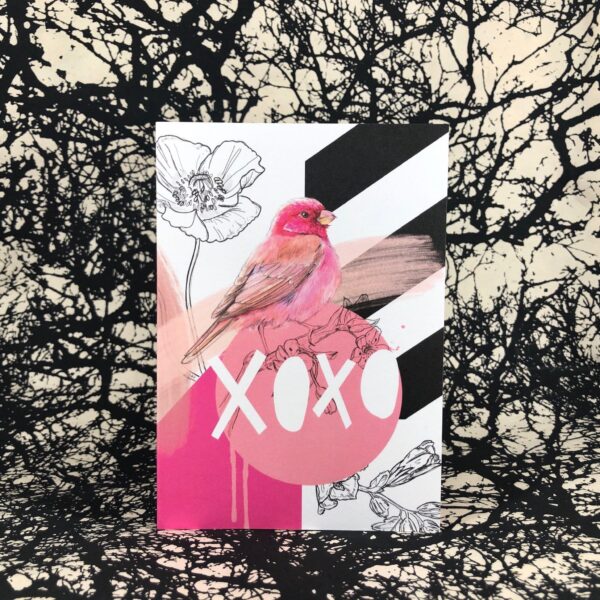 8176-rose-finch-xoxo-greeting-card-5060583439234-21673198420124-2.jpg