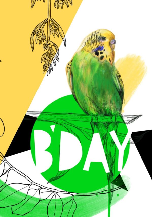 8177-budgie-b-day-greeting-card-5060583439258-15074809315424-2.jpg