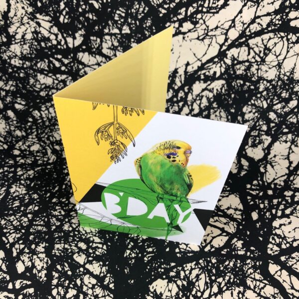 8177-budgie-b-day-greeting-card-5060583439258-21673299050652-2.jpg
