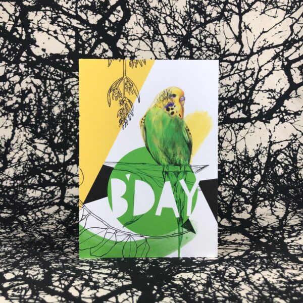 8177-budgie-b-day-greeting-card-5060583439258-21673299148956-2.jpg