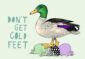 8181-ice-ice-beaky-cold-feet-greeting-card-5060583437612-6188344508512-2.jpg