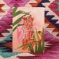 8190-cats-on-legs-thankyou-greeting-card-5060583439302-21675870191772-2.jpg
