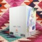 8192-cats-on-legs-high-five-greeting-card-5060583439326-21675503255708-2.jpg