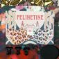 8204-be-my-felinetine-greeting-card-5060583437681-21679959900316-2.jpg