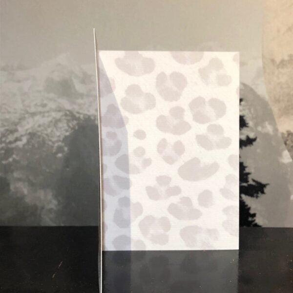 8211-concatulations-greeting-card-5060583437896-21678807941276-2.jpg