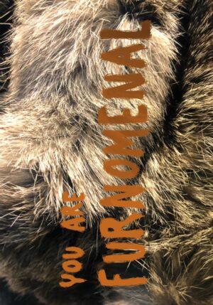 Furnomenal Greeting Card
