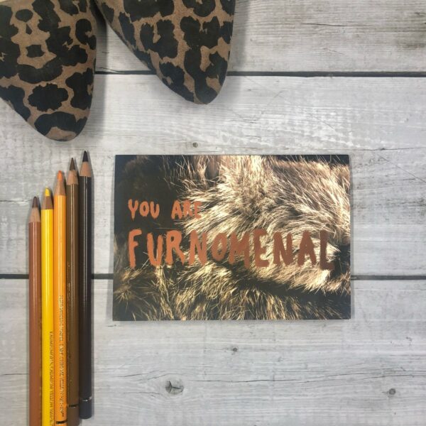 8223-furnomenal-greeting-card-5060583436929-21678222147740.jpg