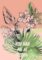 8233-aloha-fawn-greeting-card-5060583438602-11587327918176-2.jpg