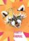 8234-party-animal-racoon-greeting-card-5060583438596-11587298787424-2.jpg