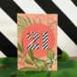 8251-occasional-stripes-21st-birthday-greeting-card-5060583431191-21672349663388-2.jpg