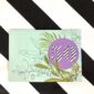 8254-occasional-stripes-50th-birthday-greeting-card-5060583430125-21672627503260-2.jpg