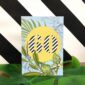 8255-occasional-stripes-60th-birthday-greeting-card-5060583430118-21672697856156-2.jpg