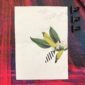8260-occasional-stripes-happy-birthday-greeting-card-5060583430200-21672240185500-2.jpg