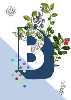 Botanical Alphabet B Greeting Card