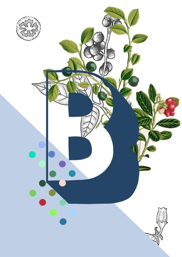 8301-botanical-alphabet-b-greeting-card-5060583438886-11661976895584-2.jpg 8301-botanical-alphabet-b-greeting-card-5060583438886-11661976895584-2.jpg
