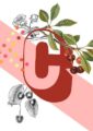 8302-botanical-alphabet-c-greeting-card-5060583438879-11661977518176-2.jpg