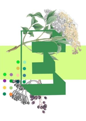 Botanical Alphabet E Greeting Card