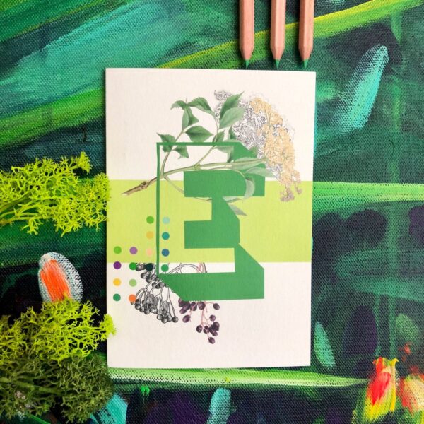 8304-botanical-alphabet-e-greeting-card-5060583438855-21674226122908-2.jpg